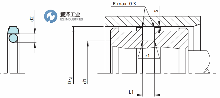 TRELLEBORG（B+S）格萊圈PT系列 愛澤工業(yè)ize-industries (2).png