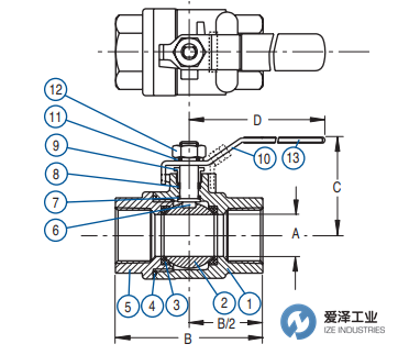 DURAVALVE球閥D250 20500C 愛(ài)澤工業(yè) izeindustries (2).png