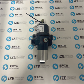 FISHER閥167DA 愛(ài)澤工業(yè) izeindustries (12).JPG