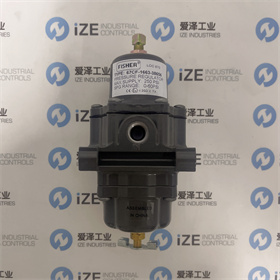 FISHER閥67CFR-600 愛(ài)澤工業(yè) izeindustries (7).JPG