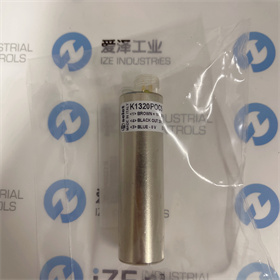 SELET傳感器K1320P0C5  愛澤工業(yè) izeindustries (7).JPG