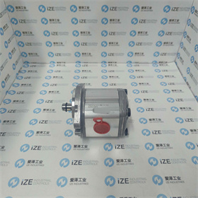 MARZOCCHI泵ALP2A-D-20-FG 愛澤工業(yè) izeindustries (6)_副本.jpg