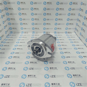 MARZOCCHI泵ALP2A-D-20-FG 愛澤工業(yè) izeindustries (7)_副本.jpg MARZOCCHI泵ALP2A-D-20-FG 愛澤工業(yè) izeindustries (7)_副本.jpg