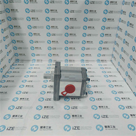 MARZOCCHI泵ALP2-D22-C0-FG-ST 愛澤工業(yè) izeindustries (4)_副本.jpg