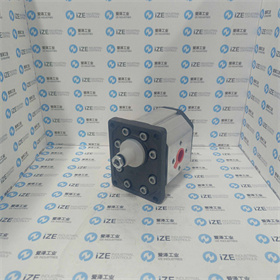 MARZOCCHI泵GHP3-D-80 愛澤工業(yè) izeindustries (8)_副本.jpg