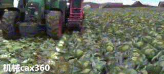 微信圖片_20171110152646.gif 微信圖片_20171110152646.gif