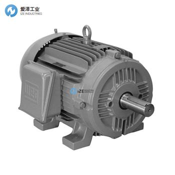 WEG電機W22系列 愛澤工業(yè)-izeindustries.jpg