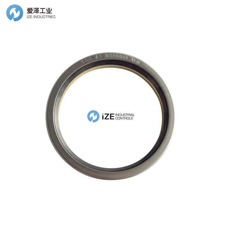 BUSAK SHAMBAN b+s wm0100800-nbm 愛(ài)澤工業(yè) izeindustries.jpg