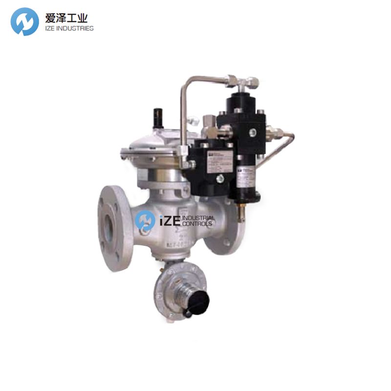 FIORENTINI 調壓閥DIXI25及維修包 izeindustries 愛澤工業(yè).jpg