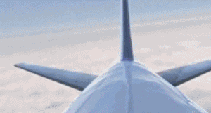 640 (1).gif 640 (1).gif