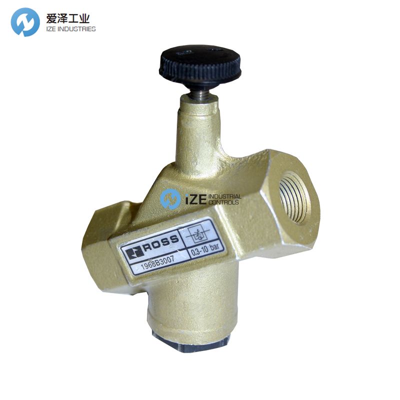 ROSS調(diào)速閥D1968B4017愛澤工業(yè)izeindustries.jpg ROSS調(diào)速閥D1968B4017愛澤工業(yè)izeindustries.jpg