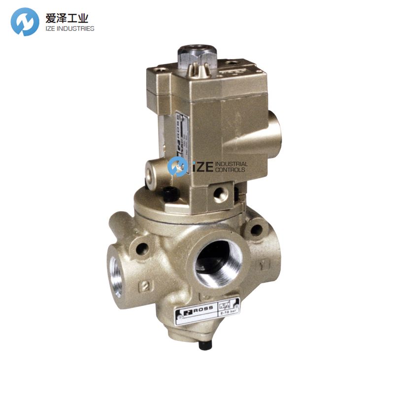 ROSS提升閥21系列D2173B5001W愛澤工業(yè)izeindustries.jpg ROSS提升閥21系列D2173B5001W愛澤工業(yè)izeindustries.jpg