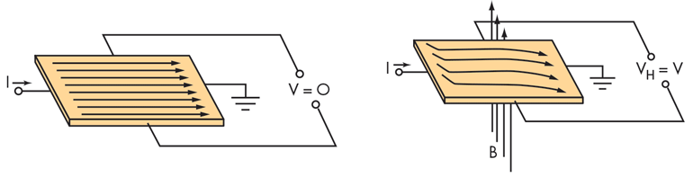 HallSense_Fig1.gif HallSense_Fig1.gif