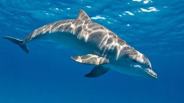 微信圖片_20200914100820.jpg 微信圖片_20200914100820.jpg