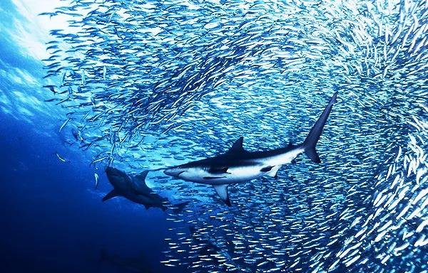 微信圖片_20200914100826.jpg 微信圖片_20200914100826.jpg