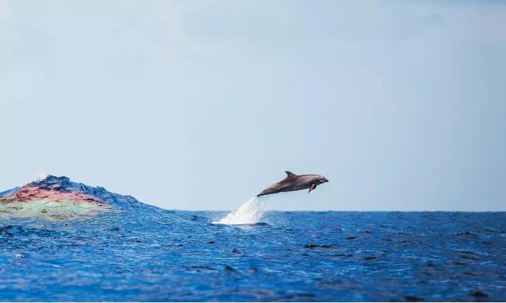 微信圖片_20200914100830.jpg 微信圖片_20200914100830.jpg