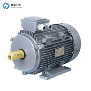 SEIPEE電機GM系列GM200LA4 30KW
