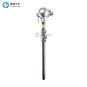 GUENTHER熱電偶10-99100008-2500