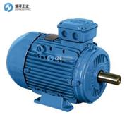 WEG電機W21 IE3 9.2KW 4P 132M/L